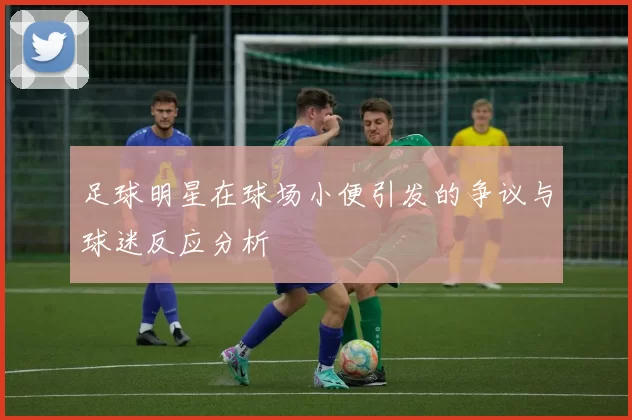 足球明星在球场小便引发的争议与球迷反应分析
