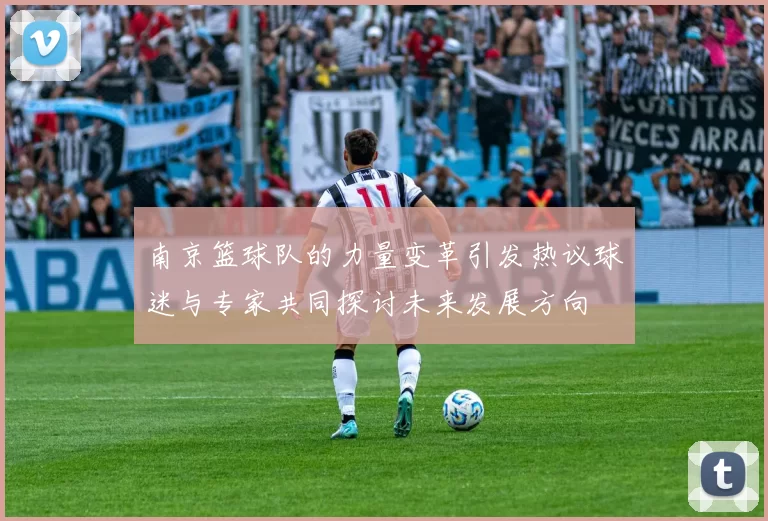 南京篮球队的力量变革引发热议球迷与专家共同探讨未来发展方向