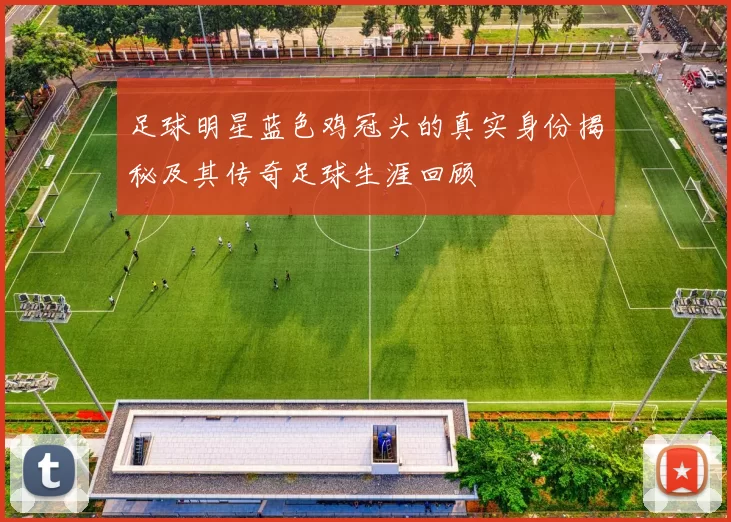 足球明星蓝色鸡冠头的真实身份揭秘及其传奇足球生涯回顾