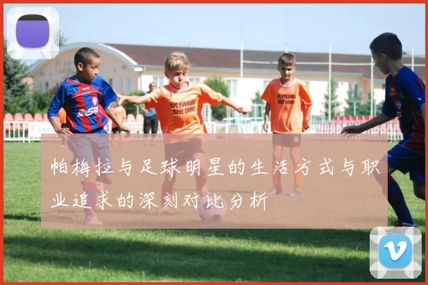帕梅拉与足球明星的生活方式与职业追求的深刻对比分析