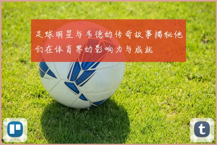 足球明星与韦德的传奇故事揭秘他们在体育界的影响力与成就