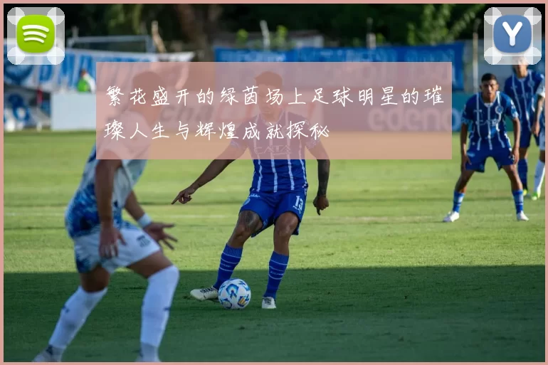 繁花盛开的绿茵场上足球明星的璀璨人生与辉煌成就探秘