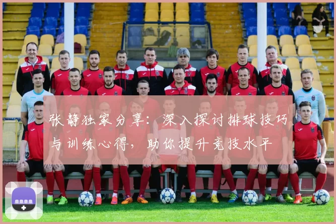 张静独家分享：深入探讨排球技巧与训练心得，助你提升竞技水平