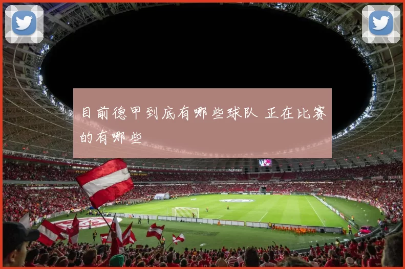 目前德甲到底有哪些球队 正在比赛的有哪些