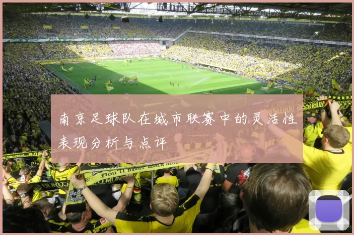 南京足球队在城市联赛中的灵活性表现分析与点评