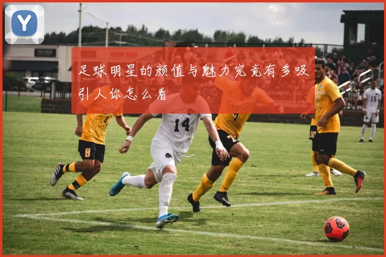 足球明星的颜值与魅力究竟有多吸引人你怎么看
