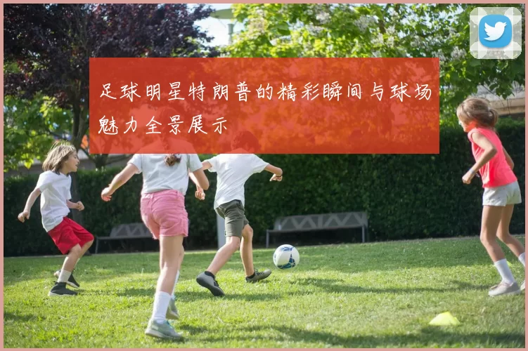 足球明星特朗普的精彩瞬间与球场魅力全景展示