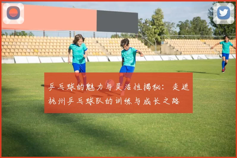 乒乓球的魅力与灵活性揭秘：走进杭州乒乓球队的训练与成长之路