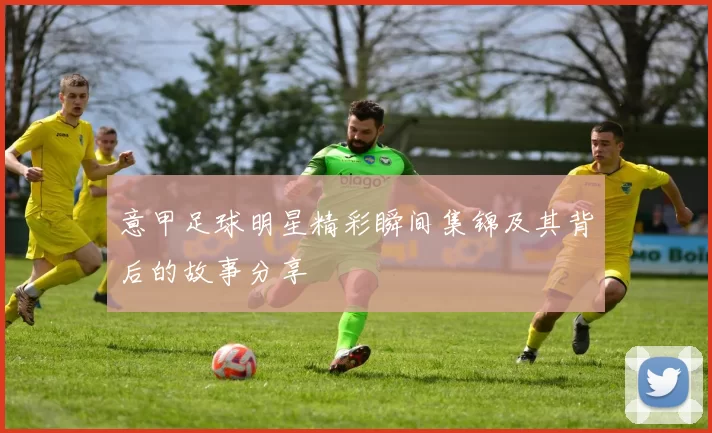 意甲足球明星精彩瞬间集锦及其背后的故事分享