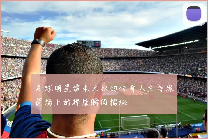 足球明星雷米大叔的传奇人生与绿茵场上的辉煌瞬间揭秘