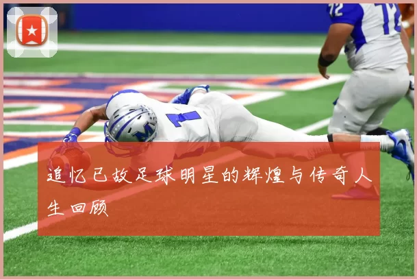 追忆已故足球明星的辉煌与传奇人生回顾