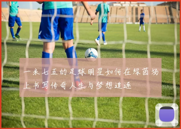 一米七五的足球明星如何在绿茵场上书写传奇人生与梦想追逐