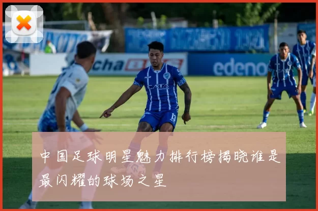 中国足球明星魅力排行榜揭晓谁是最闪耀的球场之星