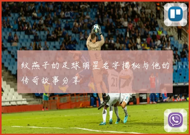 纹燕子的足球明星名字揭秘与他的传奇故事分享