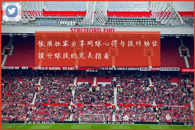 张丽独家分享网球心得与技巧助你提升球技的完美指南